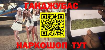 крисы Славгород