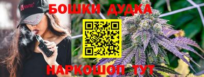крисы Славгород