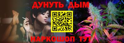 крисы Славгород