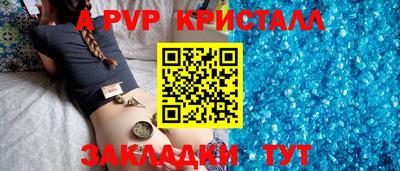 крисы Славгород