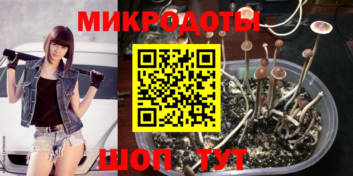 Норильск  Галлюциногенные грибы мухоморы  Вход с VPN 