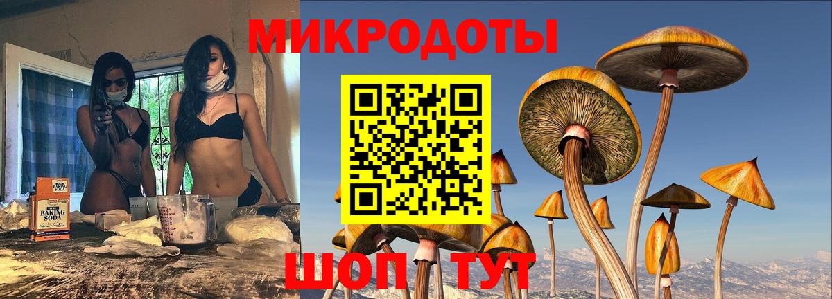Галлюциногенные грибы Psilocybine cubensis Норильск